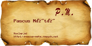 Pascus Máté névjegykártya